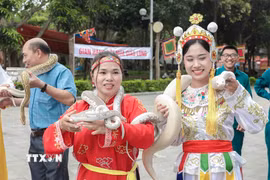 Du khách hào hứng trải nghiệm cảm giác chinh phục rắn sống, hoạt động độc đáo tại Lễ hội truyền thống làng Lệ Mật. (Ảnh: Phan Phương/TTXVN)