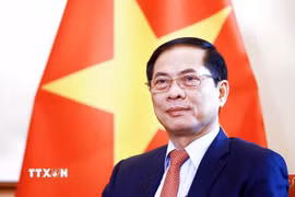 Phó Thủ tướng, Bộ trưởng Ngoại giao Bùi Thanh Sơn. (Ảnh: TTXVN phát)