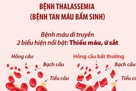 Cùng nhau vì Thalassemia: Đoàn kết cộng đồng, ưu tiên bệnh nhân
