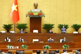 Phó Chủ tịch Quốc hội Lê Minh Hoan phát biểu. (Ảnh: Doãn Tấn/TTXVN)