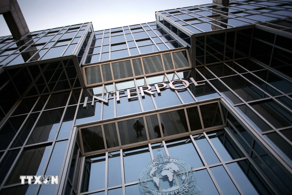 Interpol Triệt Phá Mạng Lưới Lừa Đảo Tài Chính Số, Thu Hồi Hơn 43 Triệu USD