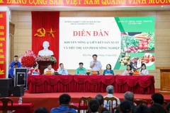 Quang cảnh Diễn đàn “Khuyến nông @ liên kết sản xuất và tiêu thụ sản phẩm nông nghiệp. Ảnh (Bảo Ngọc/Vietnam+)