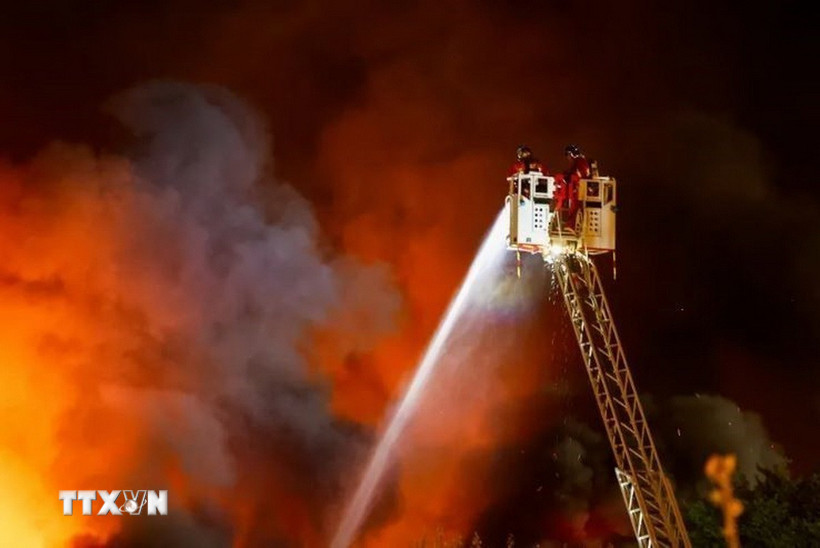 Ảnh minh họa. (Ảnh: REX/TTXVN)