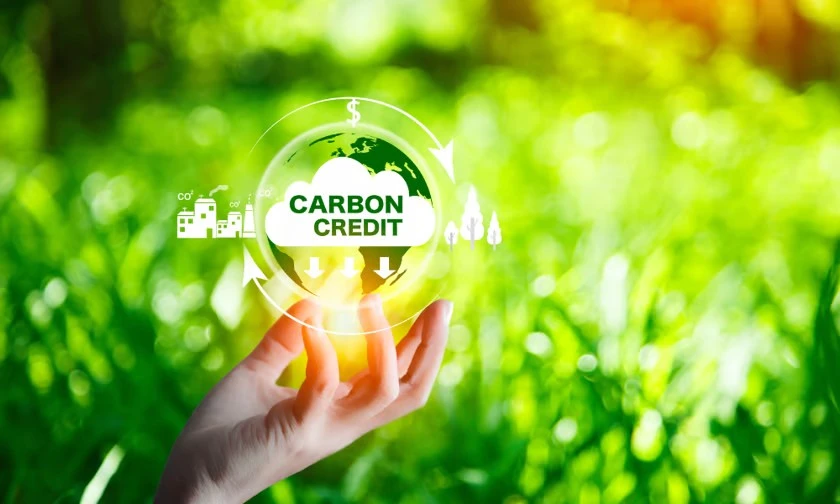 Liên Hợp Quốc Phê Duyệt Tín Chỉ Carbon Đầu Tiên Theo Cơ Chế Mới