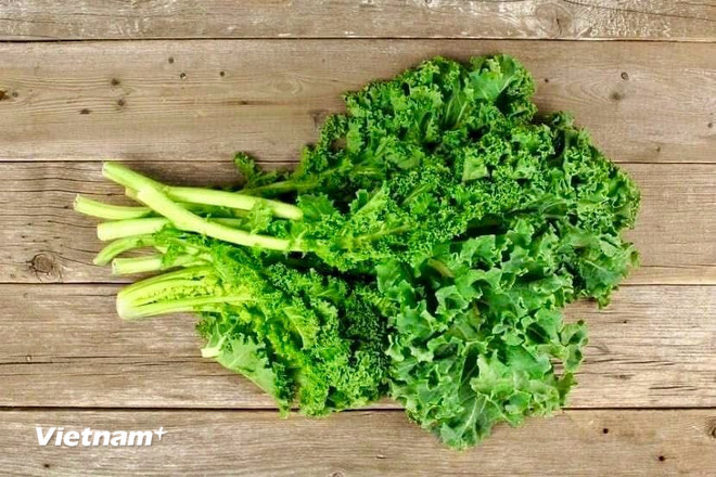 ต้นคะน้า (ภาพ: เวียดนาม+) vnp-cai-kale.jpg