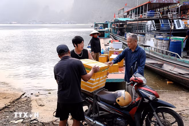 ttxvn-ngu-dan-long-ho-song-da-hoa-binh-tat-bat-thu-hoach-dac-san-ca-ngan-ca-bong-8675185-1.jpg