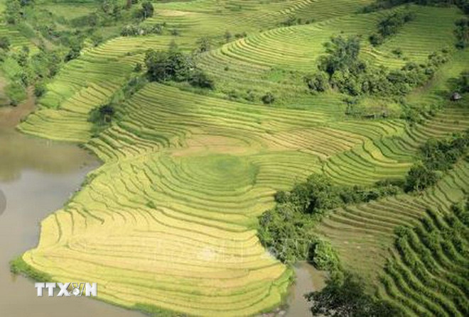 ttxvn-muong-hum.jpg