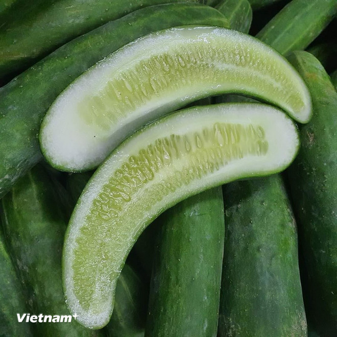 (ภาพ: เวียดนาม+) vnp-dua-chuot.jpg