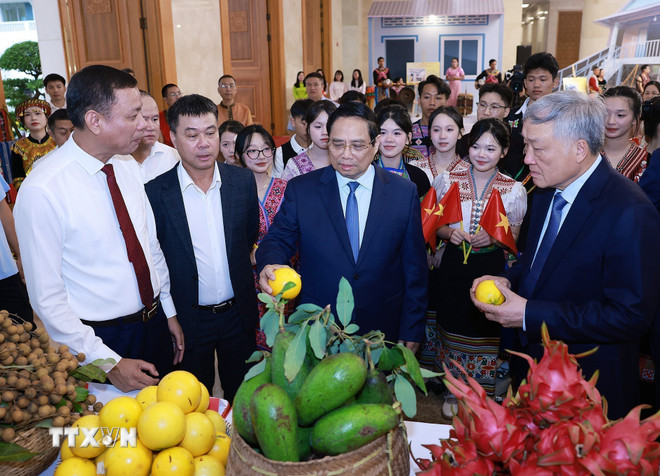 ttxvn-thu-tuong-chu-tri-hoi-nghi-tong-ket-chuong-trinh-va-phong-trao-thi-dua-ca-nuoc-chung-tay-xoa-nha-tam-nha-dot-nat-8234904-9.jpg