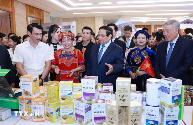ttxvn-thu-tuong-chu-tri-hoi-nghi-tong-ket-chuong-trinh-va-phong-trao-thi-dua-ca-nuoc-chung-tay-xoa-nha-tam-nha-dot-nat-8234904-7.jpg