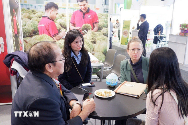 ttxvn-doanh-nghiep-viet-nam-tim-co-hoi-mo-rong-thi-truong-tai-fruit-logistica-2026-duc-8575204.jpg