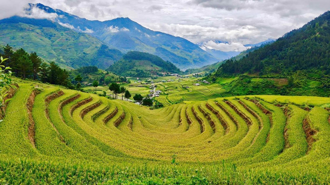ruong-bac-thang-hanh-phuc.jpg