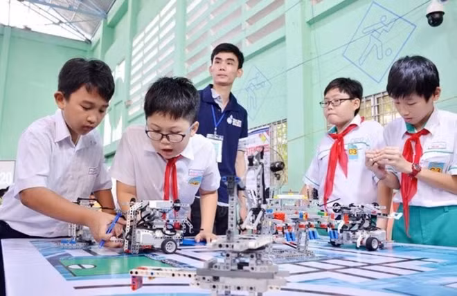 5-stem-viet-nam.jpg