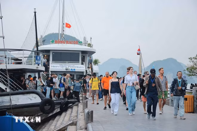 Quảng Ninh đón lượng lớn du khách tham quan, tìm hiểu vẻ đẹp tự nhiên của Vịnh Hạ Long. (Ảnh: Hoàng Hiếu/TTXVN) ttxvn-du-lich-quang-ninh.jpg