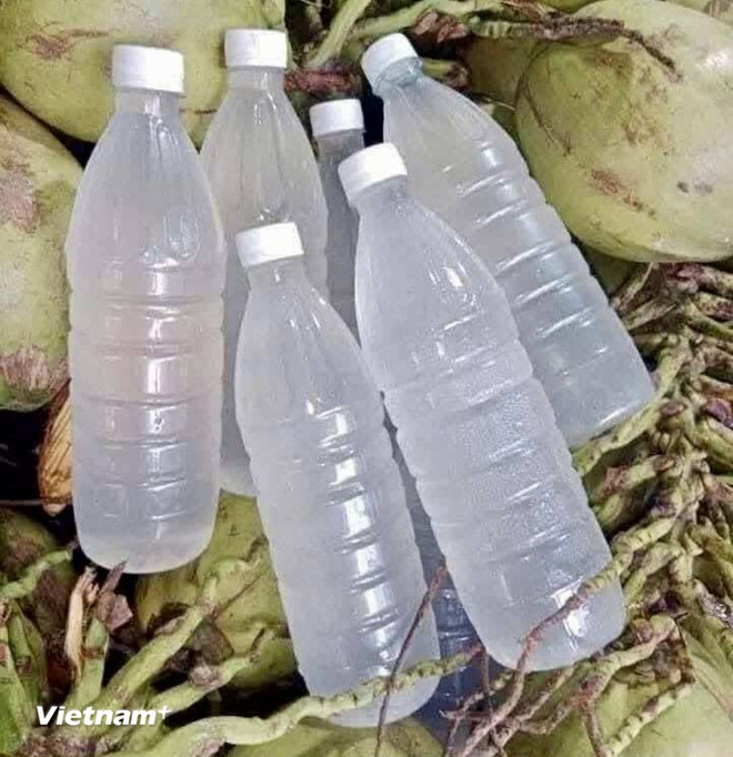 (Фото: Вьетнам+) vnp-nuoc-dua.jpg