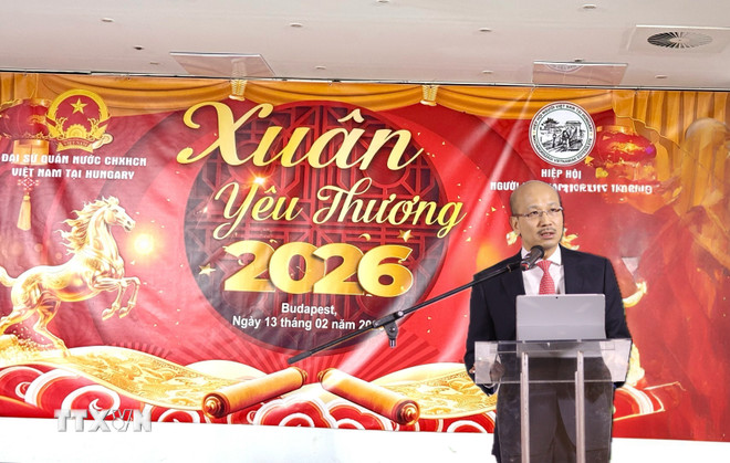 ttxvn-cong-dong-nguoi-viet-nam-tai-hungary-han-hoan-don-tet-8594585-2.jpg