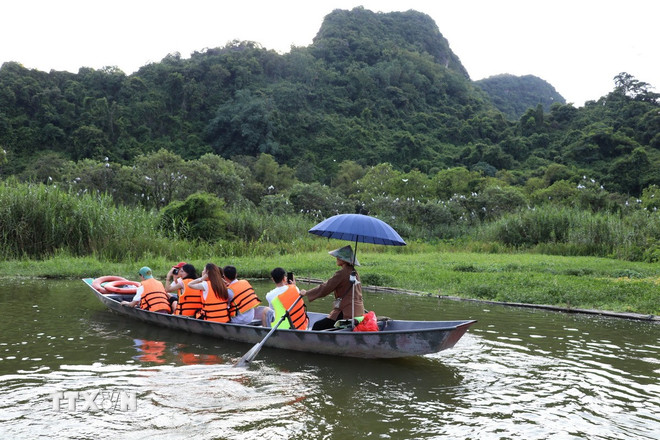 Đến với Vườn chim Thung Nham, phường Nam Hoa Lư, tỉnh Ninh Bình, du khách có cơ hội được chiêm ngưỡng tận mắt vẻ đẹp hoang dã của các loài chim. (Ảnh: Thùy Dung/TTXVN) ttxvn-cac-loai-chim-giua-long-di-san-ninh-binh-8209632.jpg