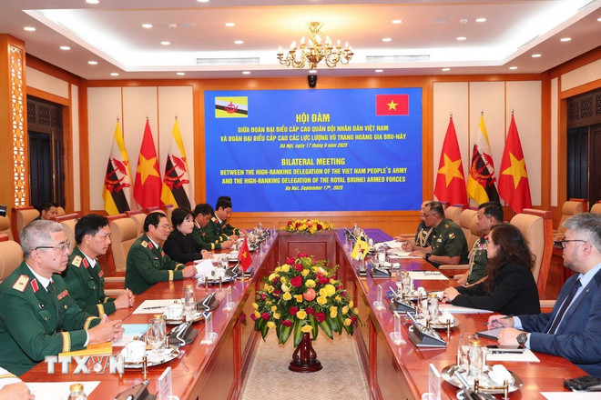 ttxvn-quan-doi-hoang-gia-brunei-tham-chinh-thuc-viet-nam-8279695.jpg