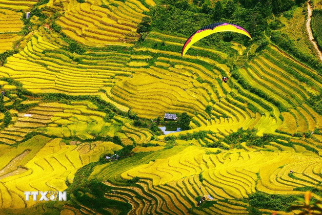 ttxvn-khau-pha.jpg