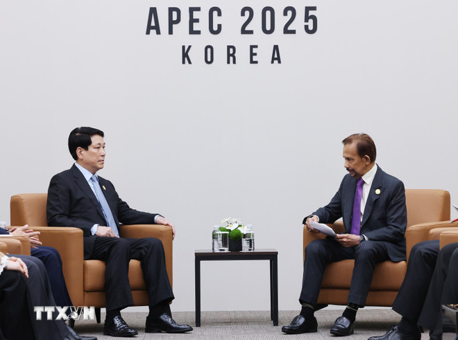 President Luong Cuong ontmoet de Brunei-sultan Hassanal Bolkiah. (Foto: Lam Khanh/VNA) ttxvn-apec-32-chu-tich-nuoc-luong-cuong-gap-quoc-vuong-brunei-8377802-4.jpg