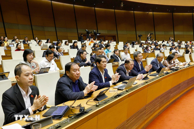 Члены Национального собрания голосуют за принятие законов и резолюций. (Фото: Доан Тан/VNA) ttxvn-thong-qua-luat.jpg