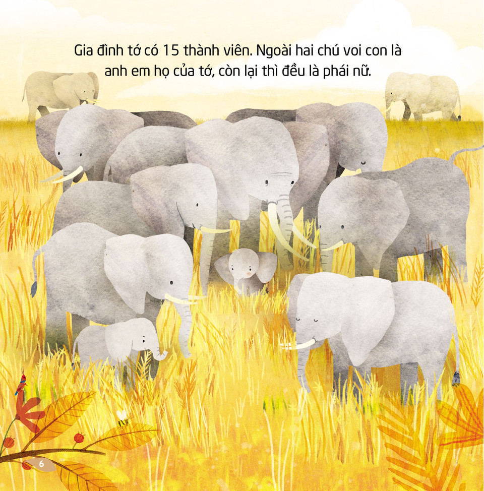 Với cuốn "Voi", các em nhỏ sẽ được đến thảo nguyên châu Phi, nơi các đàn voi sinh sống như một gia đình. Gia đình voi có khoảng 15 thành viên và voi đầu đàn chính là bà ngoại. Sách giúp các em khám phá cách đàn voi di chuyển, kiếm ăn, tắm, nô đùa…và cách gia đình voi quan tâm đến nhau. (Ảnh: PV/Vietnam+)