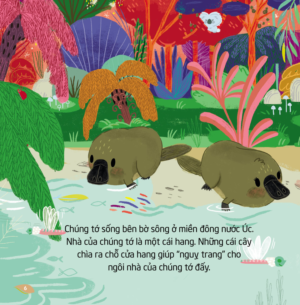 Cuốn "Thú mỏ vịt" là câu chuyện của bạn thú mỏ vịt nhỏ. Gia đình bạn sống bên bờ sông ở miền đông nước Úc. Nhà của bạn là một cái hang. Cuốn sách giúp các em nhỏ khám phá về cuộc sống thú mỏ vịt, từ bơi lội, kiếm ăn hay đào hang, đẻ trứng, những đặc điểm không loài nào có của thú mỏ vịt. (Ảnh: PV/Vietnam+)
