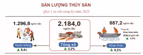 thuy-san.png