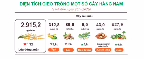 cay-trong.png