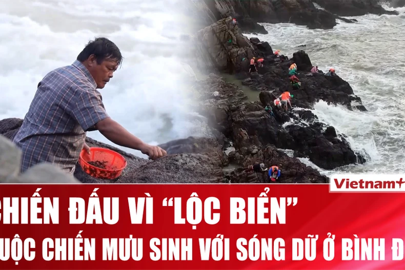 Cuộc chiến với sóng dữ vì “lộc biển” ở Bình Định 