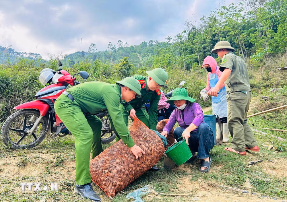 ttxvn-tuyen-quang-khi-sac-phuc-xanh-gieo-mam-no-am-noi-bien-cuong-8684107-2.jpg