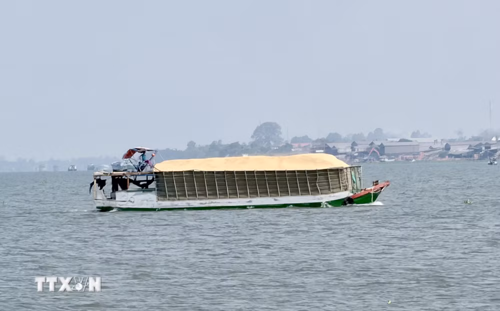 ttxvn-an-giang-tai-cau-truc-chuoi-gia-tri-lua-gao-theo-huong-ben-vung-8720575-3.jpg