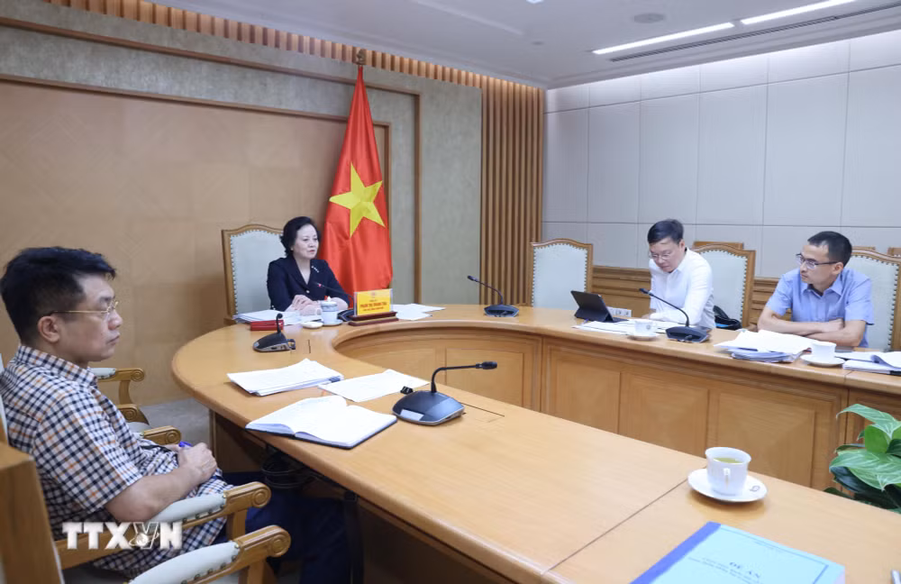 ttxvn-pho-thu-tuong-pham-thi-thanh-tra-lam-viec-ve-de-an-thu-hut-trong-dung-nhan-tai-8886455-1.jpg