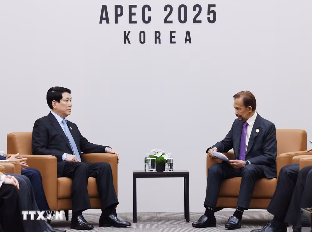 ttxvn-apec-32-chu-tich-nuoc-luong-cuong-gap-quoc-vuong-brunei-8377802-4.jpg