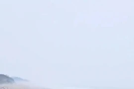 Cảnh tượng kỳ thú 300.000 con rùa biển lên bờ đẻ trứng ở Ấn Độ