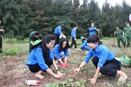 Thanh niên với “3 tiên phong,” “6 trọng tâm” cùng đất nước vào kỷ nguyên mới