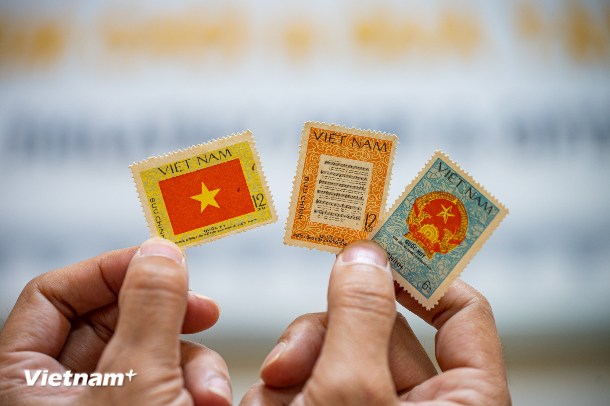 vnp-tem-bau-cu-quoc-hoi-4.jpg