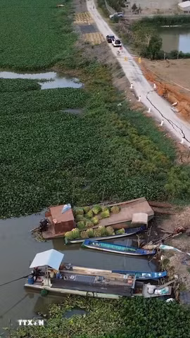 Quang cảnh sụt lún đất tại tuyến đê bao sông Lò Gạch, thuộc xã Vĩnh Hưng, tỉnh Tây Ninh. (Ảnh: Thanh Bình/TTXVN)