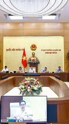 Phiên họp thứ 46 của Ủy ban Thường vụ Quốc hội, sáng 9/6/2025. (Ảnh: Doãn Tấn/TTXVN)