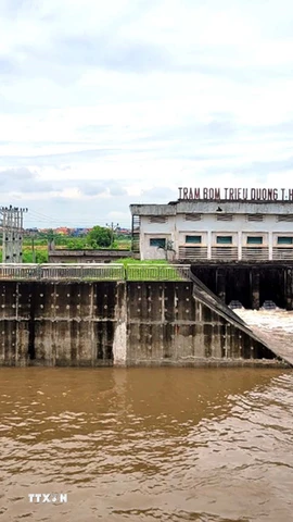 Trạm bơm Triều Dương, huyện Tiên Lữ, tỉnh Hưng Yên bơm tiêu thoát nước để chống úng, ngập. (Ảnh: TTXVN phát)