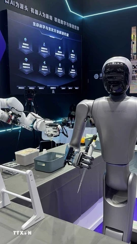 Robot hình người. (Ảnh minh họa. Công Tuyên/TTXVN)