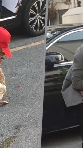 Bà cụ bật khóc khi tìm thấy xác chú vịt. (Nguồn: SCMP)