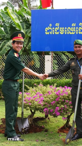 Sỹ quan trẻ 2 nước trồng cây hữu nghị thanh niên tại Đồn Biên phòng Cửa khẩu quốc tế Mộc Bài. (Ảnh: Minh Phú/TTXVN)