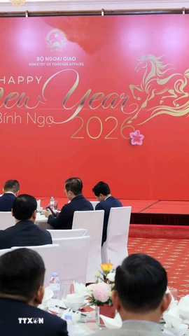 Đồng chí Lê Hoài Trung, Bí thư Trung ương Đảng, Bộ trưởng Bộ Ngoại giao phát biểu tại buổi gặp mặt. (Ảnh: An Đăng/TTXVN)