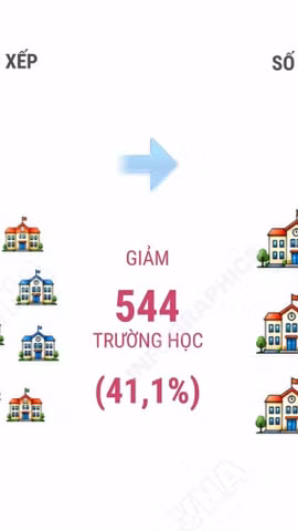Hải Phòng dự kiến còn 780 trường mầm non, tiểu học và THCS công lập sau sắp xếp