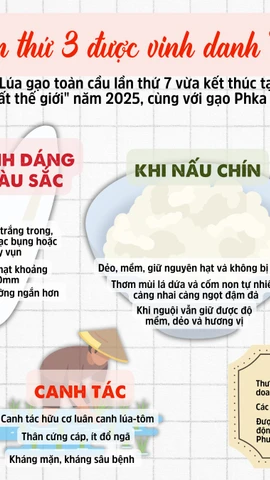 Sự hấp dẫn của gạo Ông Cua ST25 - “Gạo ngon nhất thế giới” năm 2025