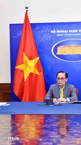 Bộ trưởng Bộ Ngoại giao Lê Hoài Trung điện đàm với Bộ trưởng Bộ Châu Âu và Ngoại giao Pháp Jean Noel Barrot. (Ảnh: TTXVN)