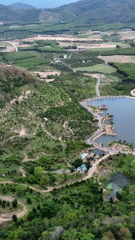 Trang trại Sản Việt ở Nam Ninh Hòa là một trong những khu trang trại kết hợp nông nghiệp và du lịch tại tỉnh Khánh Hòa. (Ảnh: TTXVN phát)