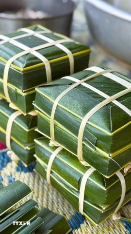 Những cặp bánh chưng khuôn lá dừa. (Ảnh: TTXVN phát)