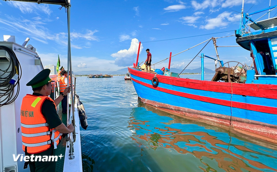 Theo yêu cầu, tại tất cả âu thuyền, 100% tàu cá ra, vào cảng cá phải được kiểm tra, xác nhận; mọi trường hợp vi phạm sẽ bị xử lý nghiêm. (Ảnh: Thanh Phong/Vietnam+)